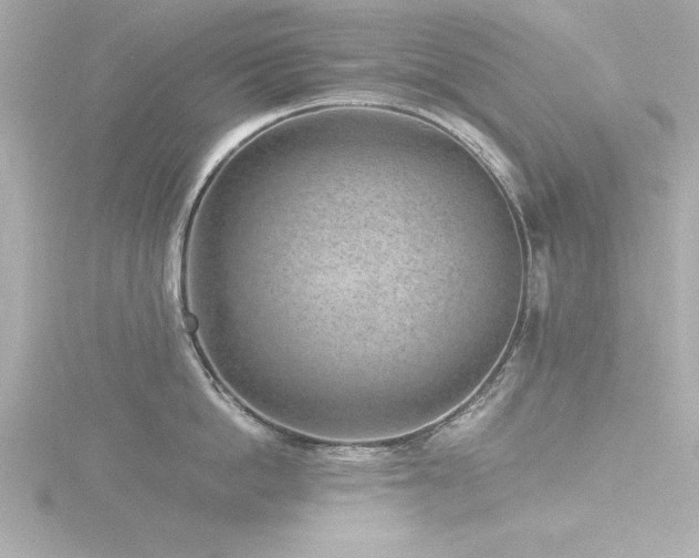 X0000116760862200912171434
