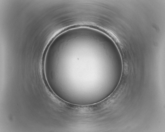 X0000116760895200912171433