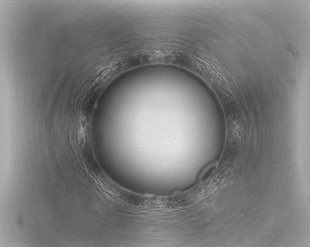 X0000116760914200912171432