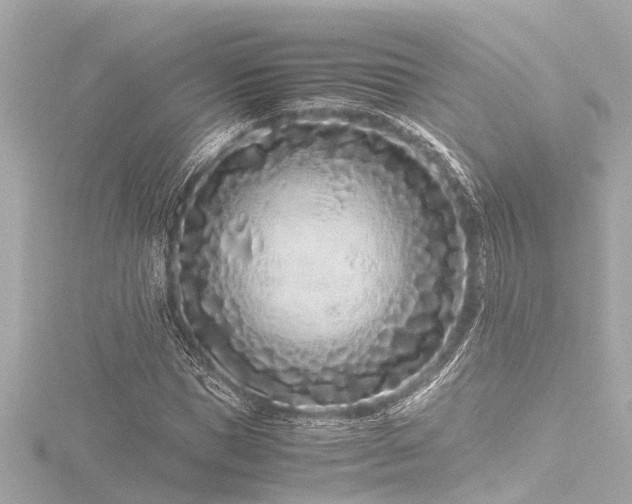 X0000116760921200912171432