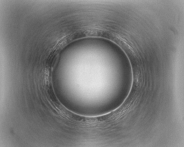 X0000116760964200912171432