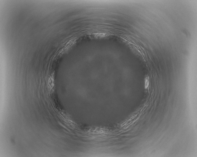 X0000116761011200912171431