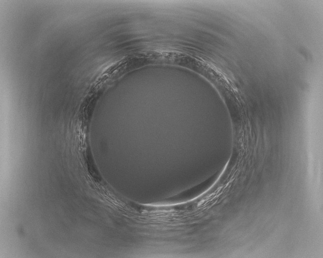 X0000116761013200912171431