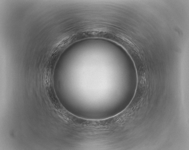 X0000116761014200912171431