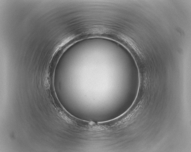 X0000116761018200912171431