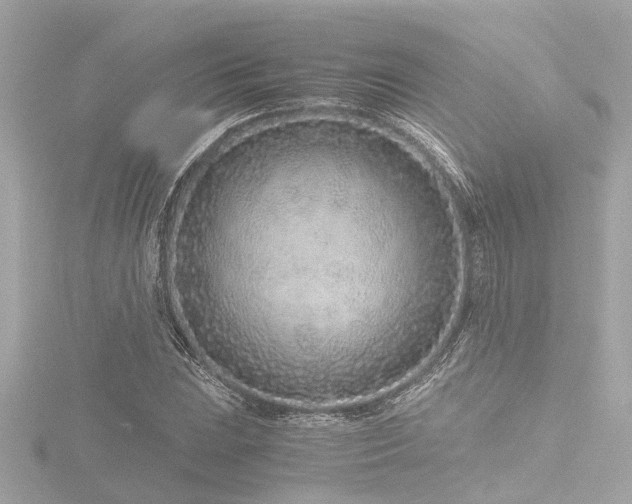 X0000116761023200912171431
