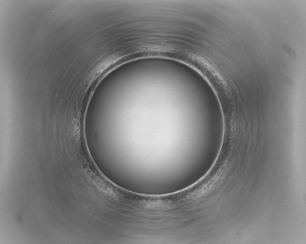 X0000116761025200912171431