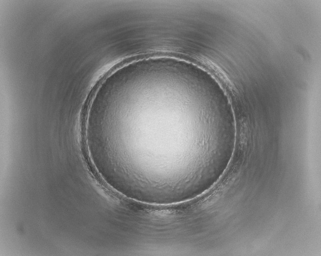 X0000116761031200912171431