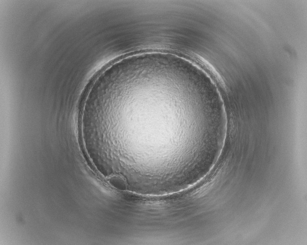 X0000116761035200912171431