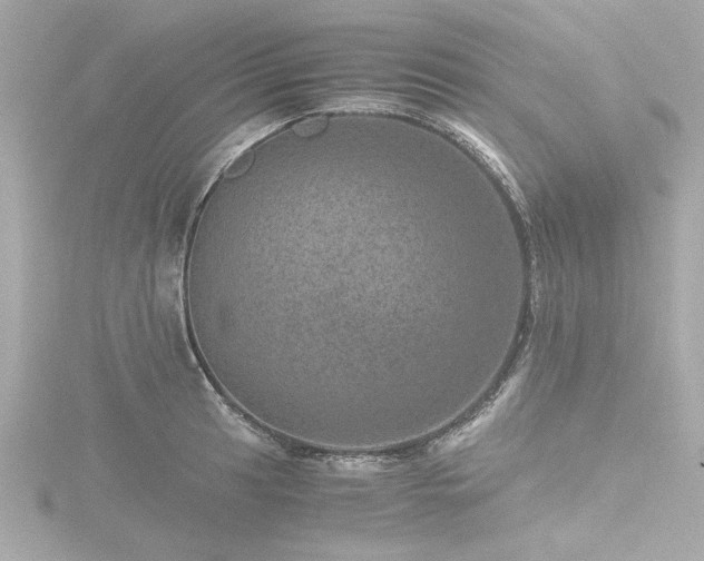 X0000116761041200912171431