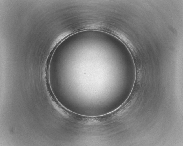 X0000116761042200912171431