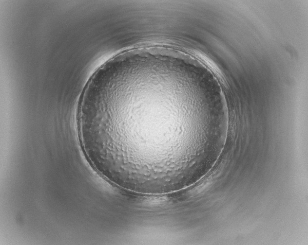 X0000116761055200912171432