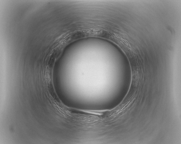 X0000116761058200912171431