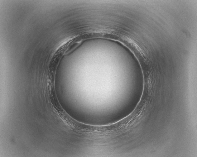 X0000116761064200912171431
