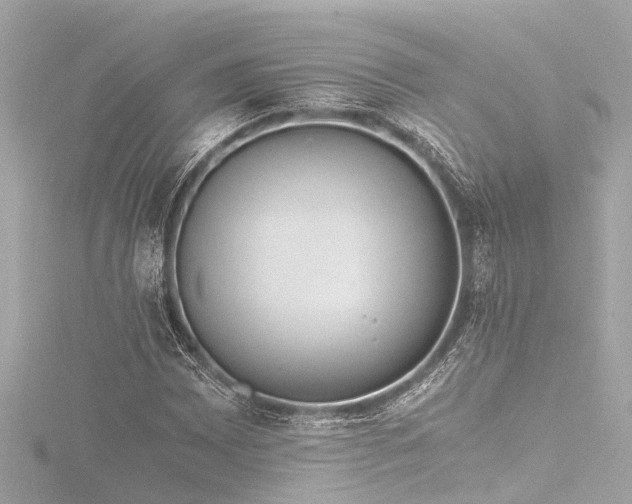 X0000116761065200912171431