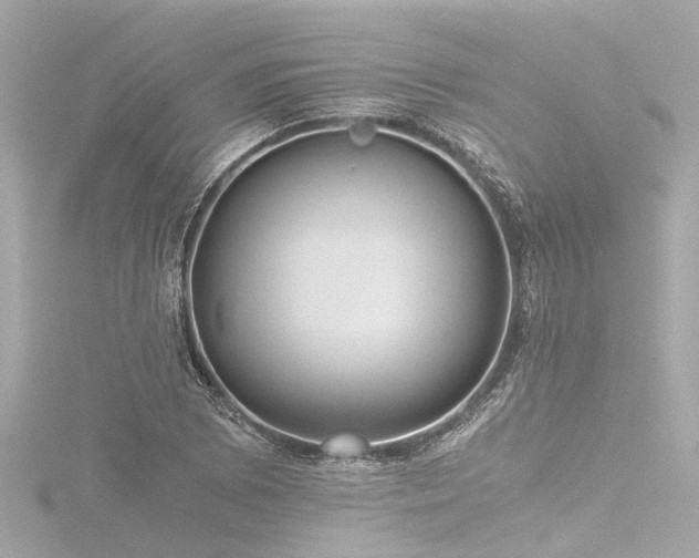 X0000116761073200912171431