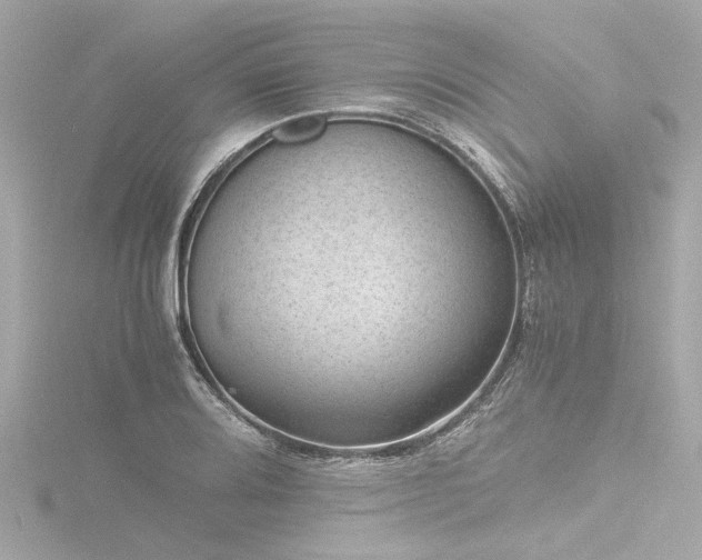 X0000116761080200912171431