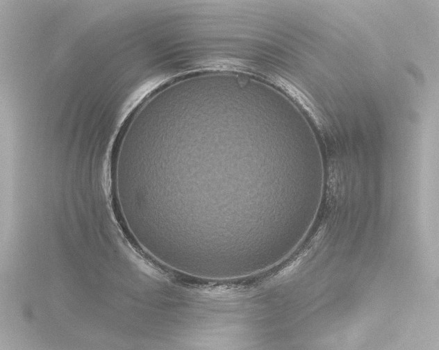 X0000116761082200912171431