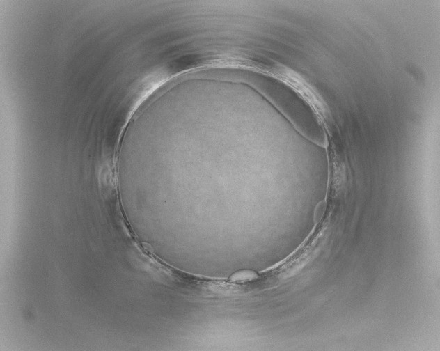 X0000116761097200912171431