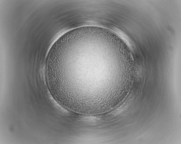 X0000116761100200912171430