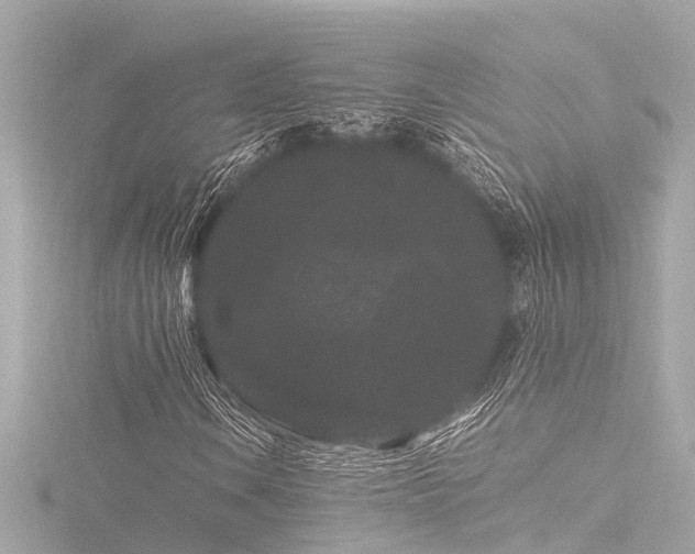 X0000116761106200912171430