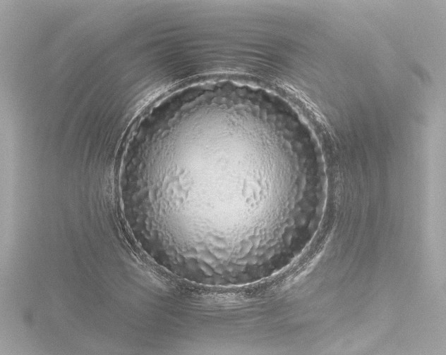 X0000116761121200912171430