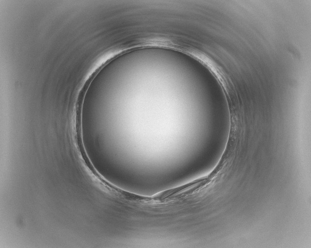 X0000116761147200912171430