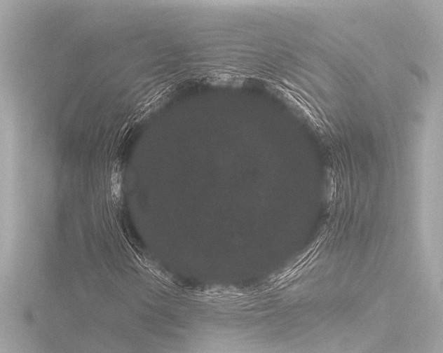 X0000116761154200912171430