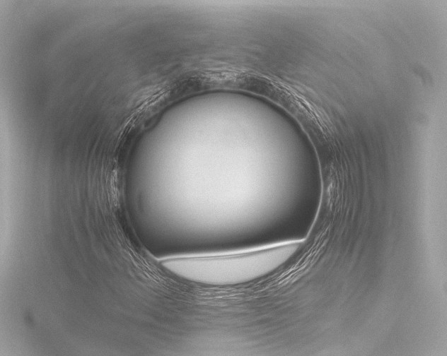 X0000116761156200912171430