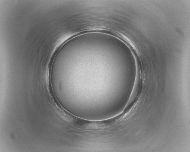 X0000116761179200912171429