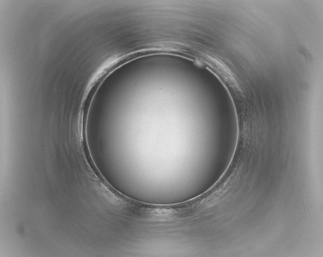 X0000116761180200912171429