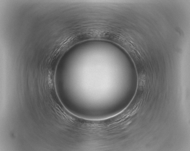 X0000116761202200912171429