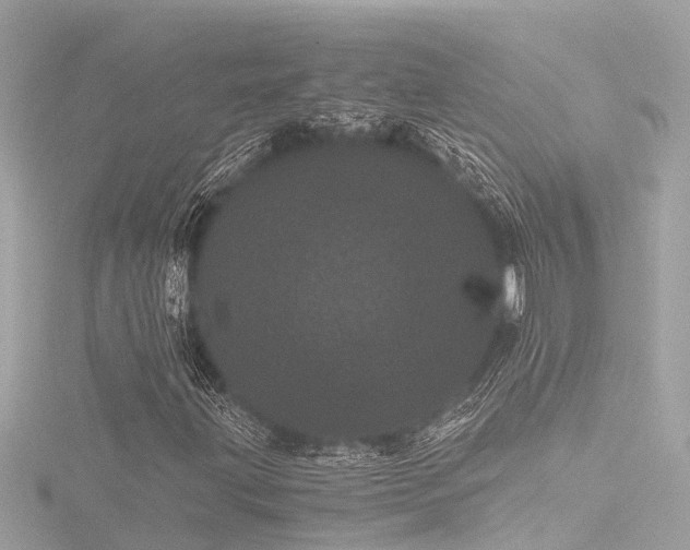 X0000116761203200912171429