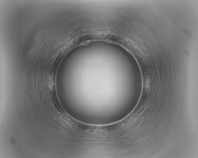 X0000116761204200912171429