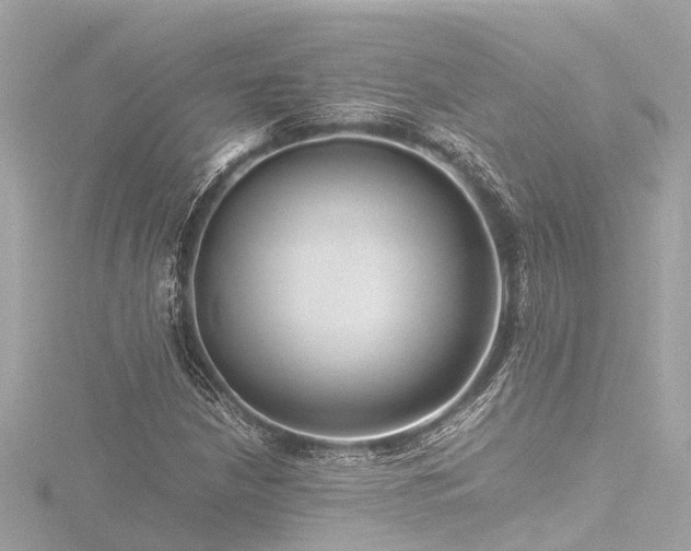 X0000116761210200912171429