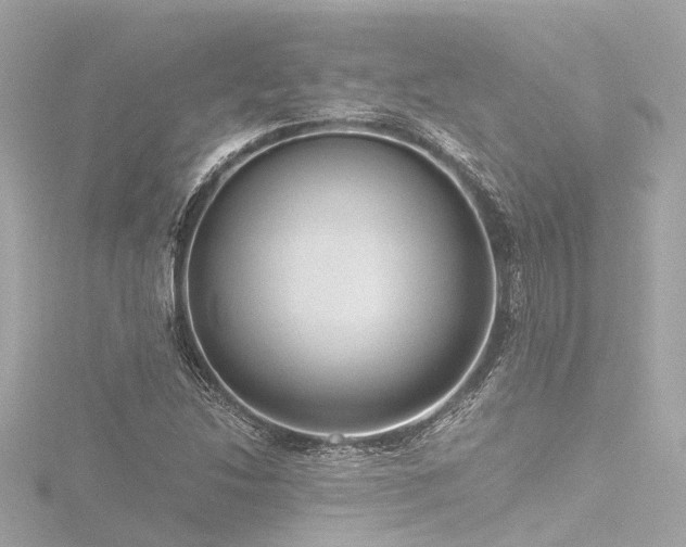 X0000116761214200912171429