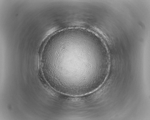 X0000116761219200912171429
