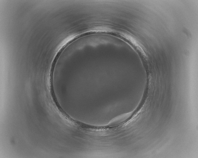 X0000116761229200912171429