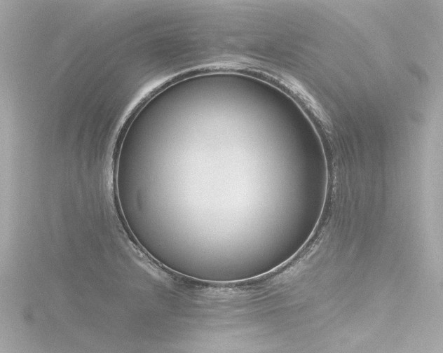 X0000116761232200912171429