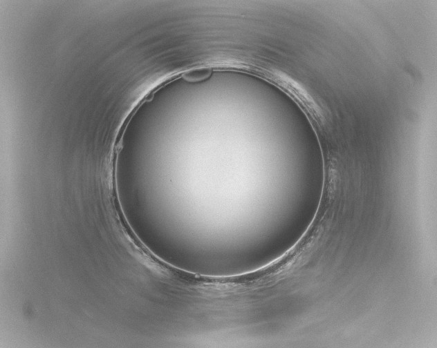 X0000116761236200912171429
