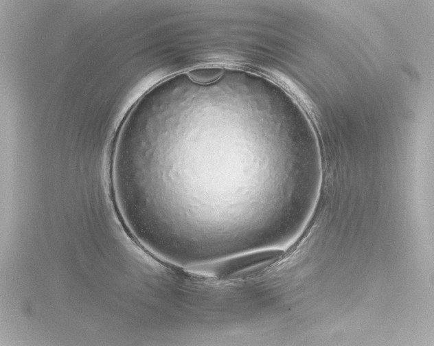 X0000116761243200912171429