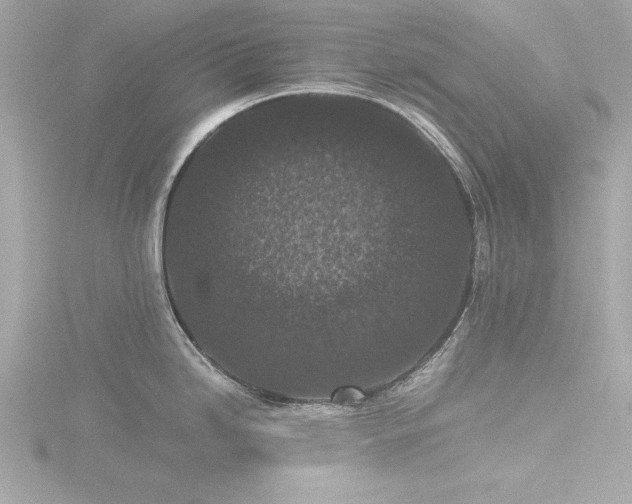 X0000116761246200912171429