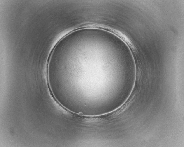 X0000116761247200912171429