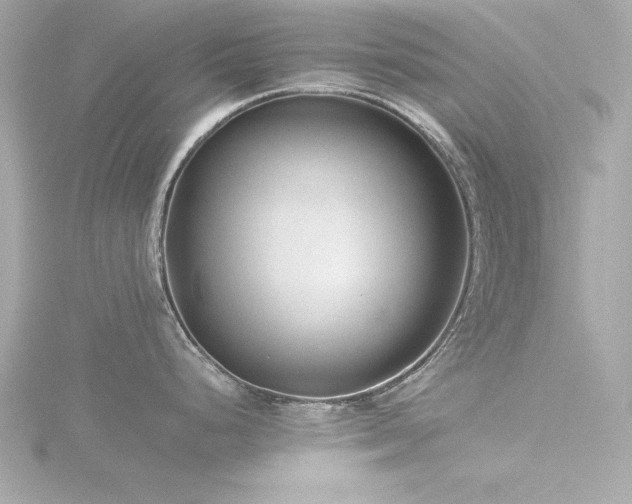 X0000116761248200912171429