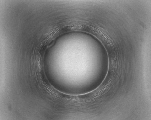 X0000116761250200912171429