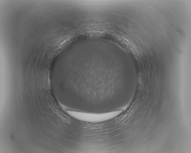 X0000116761252200912171429