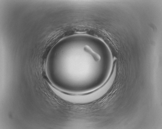X0000116761253200912171428