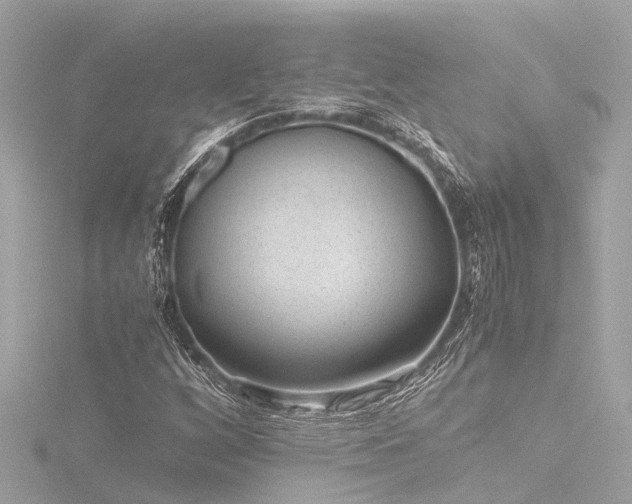 X0000116761256200912171428