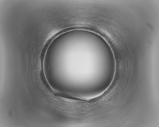 X0000116761267200912171428