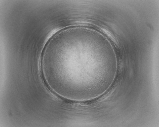 X0000116761275200912171428